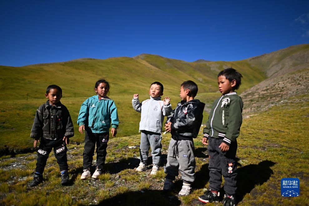 奔驰宝马娱乐